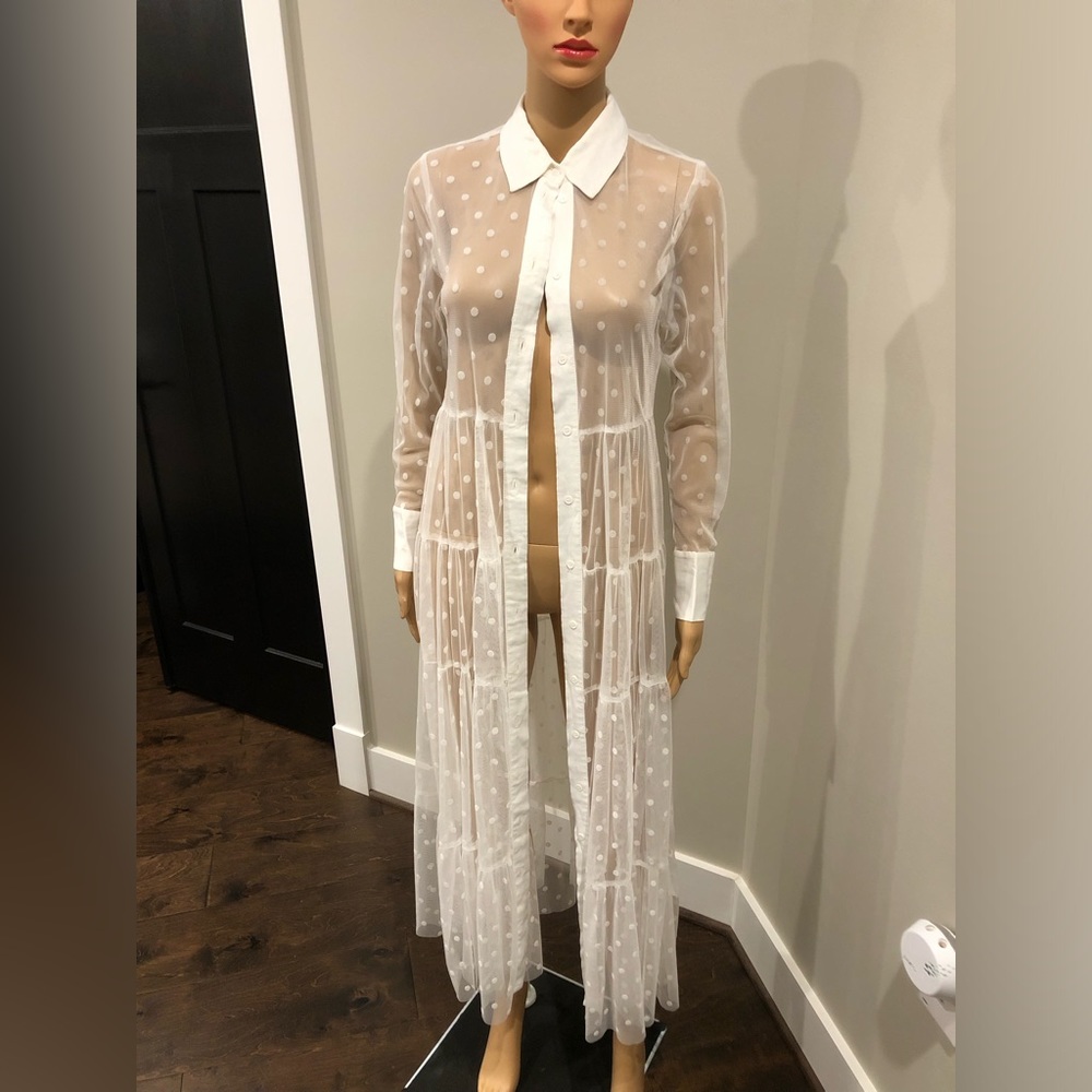 NWT!! Zara sheer maxi dress